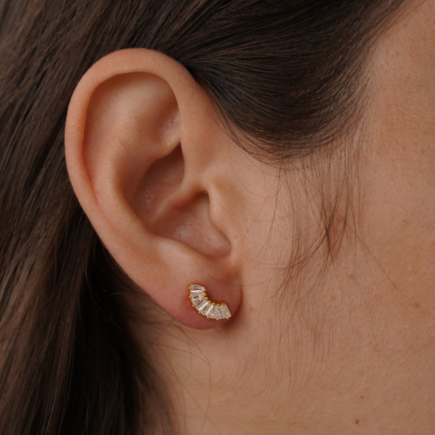 Teps Rainbow Earring